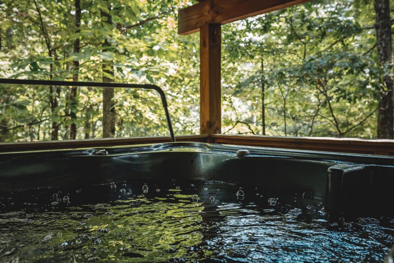 Blueberry Hideaway At 36 North Cabin - Hot Tub Purlear 外观 照片